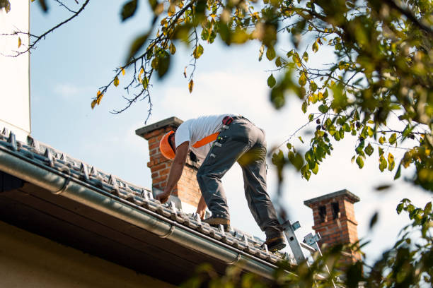 Best Local Roofing Companies  in Nemacolin, PA